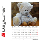 Teddy B4, képes falinaptár 2026