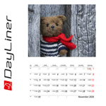 Teddy B4, képes falinaptár 2026