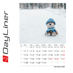 Teddy B4, képes falinaptár 2026