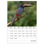 Természet varázsa B4, képes falinaptár 2026