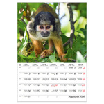 Természet varázsa B4, képes falinaptár 2026