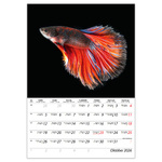 Természet varázsa B4, képes falinaptár 2026