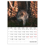 Természet varázsa B4, képes falinaptár 2026