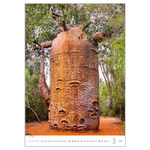 Trees, képes falinaptár 2026