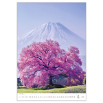 Trees, képes falinaptár 2026