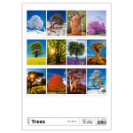 Trees, képes falinaptár 2026