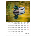 Vadászat B4, képes falinaptár 2026