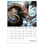 Vadászat B4, képes falinaptár 2026 Vadászat B4, képes falinaptár 2026