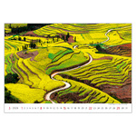 Via, képes falinaptár 2026