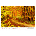 Via, képes falinaptár 2026