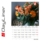 Virágok B4, képes falinaptár 2026