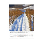 Borvidékeink, képes falinaptár 2026