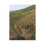 Borvidékeink, képes falinaptár 2026