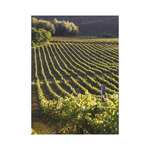 Borvidékeink, képes falinaptár 2026