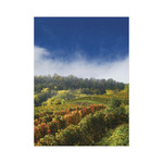 Borvidékeink, képes falinaptár 2026