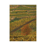 Borvidékeink, képes falinaptár 2026