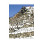 Borvidékeink, képes falinaptár 2026