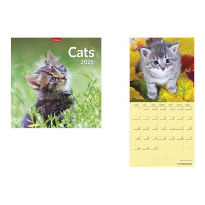 Cats, képes lemeznaptár 2026