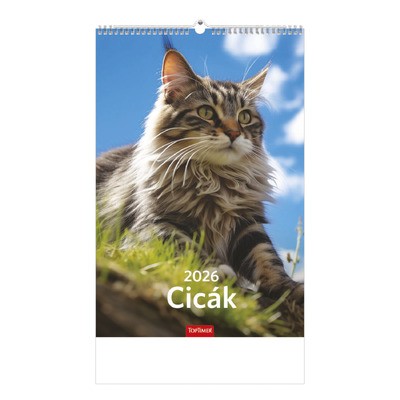 Cicák, képes falinaptár 2026