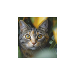 Cicák, képes falinaptár 2026