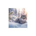 Cicák, képes falinaptár 2026