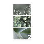 Colors of Nature, képes falinaptár 2026