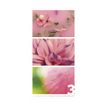 Colors of Nature, képes falinaptár 2026