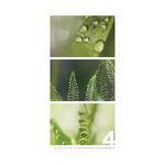 Colors of Nature, képes falinaptár 2026