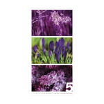 Colors of Nature, képes falinaptár 2026