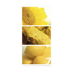 Colors of Nature, képes falinaptár 2026