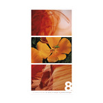 Colors of Nature, képes falinaptár 2026