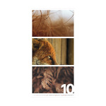 Colors of Nature, képes falinaptár 2026