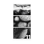 Colors of Nature, képes falinaptár 2026