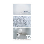 Colors of Nature, képes falinaptár 2026