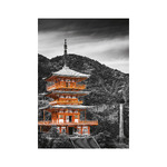 Colour Art, képes falinaptár 2026