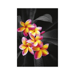 Colour Art, képes falinaptár 2026