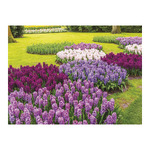 Csodálatos Kertek, képes falinaptár 2026