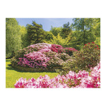 Csodálatos Kertek, képes falinaptár 2026