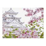 Csodálatos Világ, képes falinaptár 2026