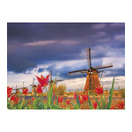 Csodálatos Világ, képes falinaptár 2026