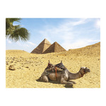 Csodálatos Világ, képes falinaptár 2026