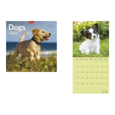 Dogs, képes lemeznaptár 2026