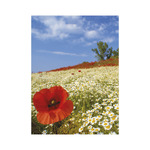 Ezerszínű Magyarország, képes falinaptár 2026