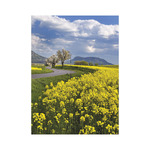 Ezerszínű Magyarország, képes falinaptár 2026