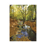 Ezerszínű Magyarország, képes falinaptár 2026