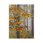 Ezerszínű Magyarország, képes falinaptár 2026