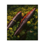 Geo Art, képes falinaptár 2026 Geo Art, képes falinaptár 2026