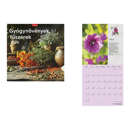 Gyógynövények, Fűszerek, képes lemeznaptár 2026