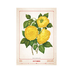 Herbárium, képes falinaptár 2026