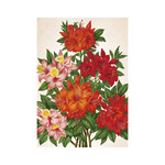 Herbárium, képes falinaptár 2026